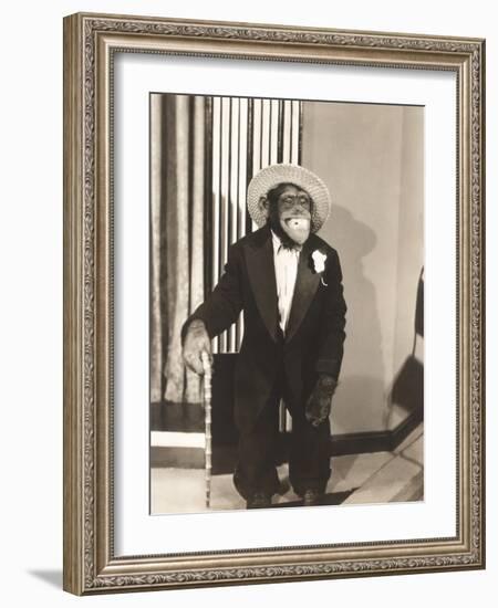 Grinning Monkey in Tuxedo-null-Framed Photo