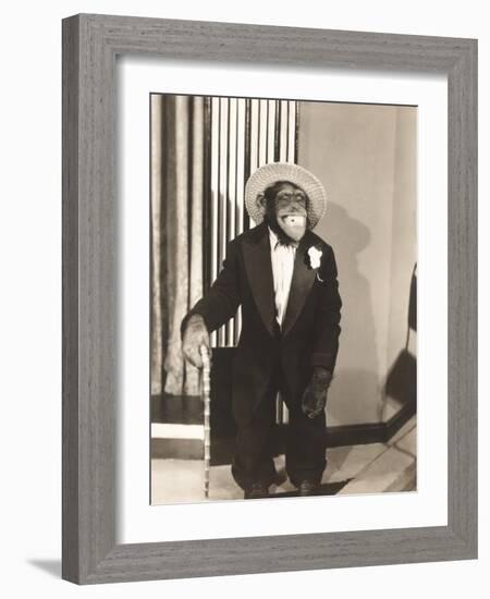 Grinning Monkey in Tuxedo-null-Framed Photo