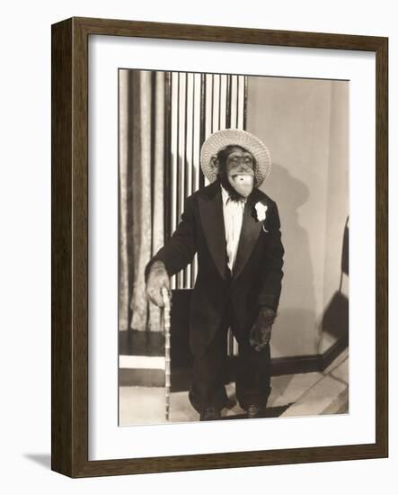 Grinning Monkey in Tuxedo-null-Framed Photo