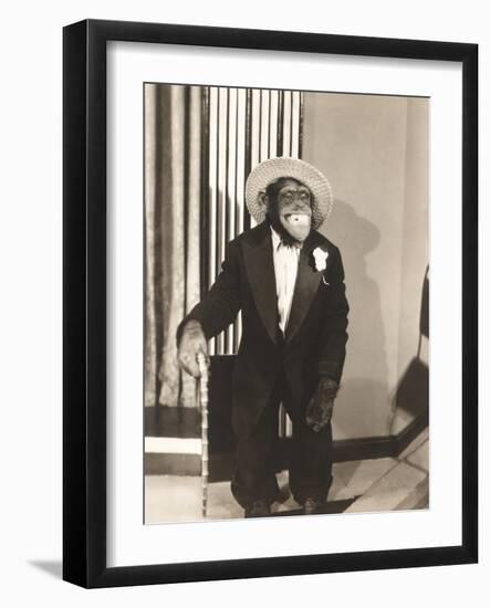 Grinning Monkey in Tuxedo-null-Framed Photo