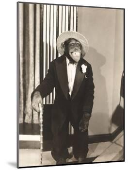 Grinning Monkey in Tuxedo-null-Mounted Photo