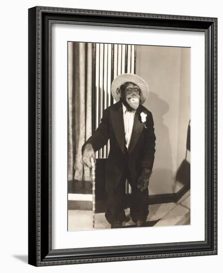 Grinning Monkey in Tuxedo-null-Framed Photo