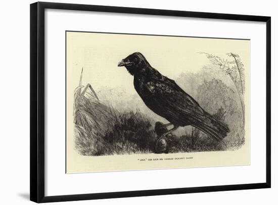 Grip, the Late Charles Dickens' Raven-null-Framed Giclee Print