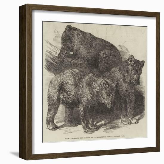 Grisly Bears, in the Gardens of the Zoological Society, Regent's Park-Harrison William Weir-Framed Giclee Print