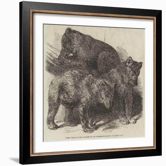 Grisly Bears, in the Gardens of the Zoological Society, Regent's Park-Harrison William Weir-Framed Giclee Print