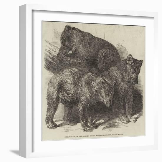 Grisly Bears, in the Gardens of the Zoological Society, Regent's Park-Harrison William Weir-Framed Giclee Print