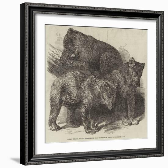 Grisly Bears, in the Gardens of the Zoological Society, Regent's Park-Harrison William Weir-Framed Giclee Print