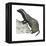 Grison (Galictis), Mammals-Encyclopaedia Britannica-Framed Stretched Canvas
