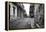 Gritty Black And White Image Of An Old Street In Havana-Kamira-Framed Premier Image Canvas
