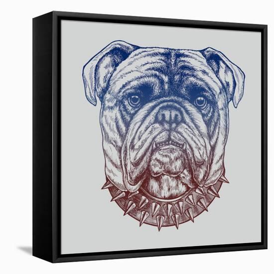 Gritty Bulldog-Rachel Caldwell-Framed Stretched Canvas