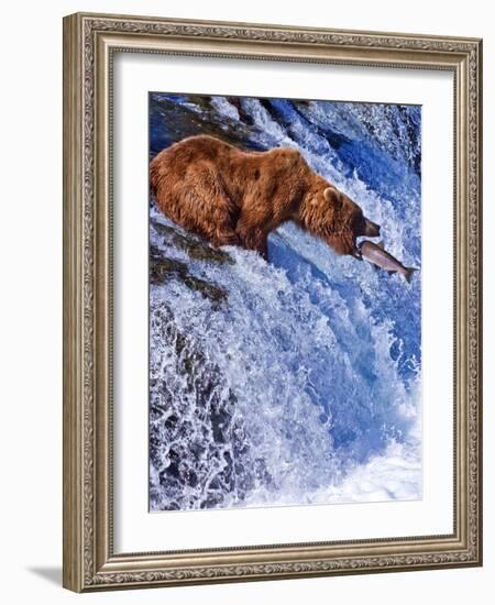 Grizly Bears at Katmai National Park, Alaska, USA-Gleb Tarro-Framed Photographic Print