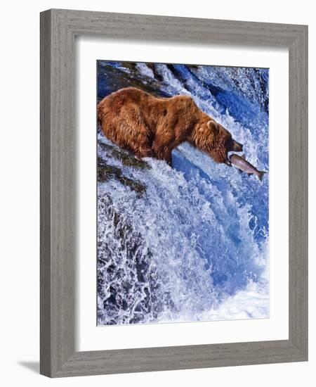 Grizly Bears at Katmai National Park, Alaska, USA-Gleb Tarro-Framed Photographic Print