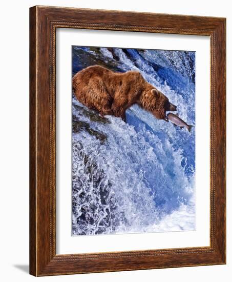 Grizly Bears at Katmai National Park, Alaska, USA-Gleb Tarro-Framed Photographic Print