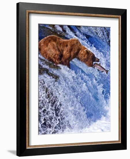 Grizly Bears at Katmai National Park, Alaska, USA-Gleb Tarro-Framed Photographic Print