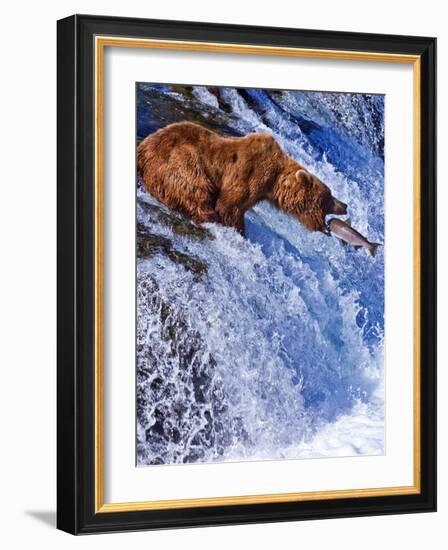 Grizly Bears at Katmai National Park, Alaska, USA-Gleb Tarro-Framed Photographic Print