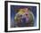 Grizz-Dean Russo-Framed Giclee Print