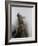 Grizzly bear 3, 2009-Odile Kidd-Framed Giclee Print