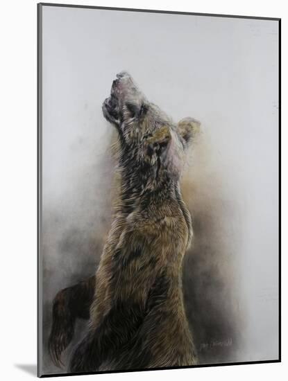 Grizzly bear 3, 2009-Odile Kidd-Mounted Giclee Print