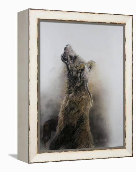 Grizzly bear 3, 2009-Odile Kidd-Framed Premier Image Canvas
