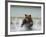 Grizzly Bear Chases after Spawning Salmon, Geographic Harbor, Katmai National Park, Alaska, Usa-Paul Souders-Framed Photographic Print