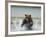 Grizzly Bear Chases after Spawning Salmon, Geographic Harbor, Katmai National Park, Alaska, Usa-Paul Souders-Framed Photographic Print