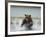 Grizzly Bear Chases after Spawning Salmon, Geographic Harbor, Katmai National Park, Alaska, Usa-Paul Souders-Framed Photographic Print