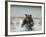 Grizzly Bear Chases after Spawning Salmon, Geographic Harbor, Katmai National Park, Alaska, Usa-Paul Souders-Framed Photographic Print