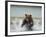 Grizzly Bear Chases after Spawning Salmon, Geographic Harbor, Katmai National Park, Alaska, Usa-Paul Souders-Framed Photographic Print