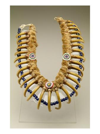 grizzly bear claw necklace