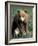 Grizzly Bear Cub in Alpine Meadow near Highway Pass, Denali National Park, Alaska-Paul Souders-Framed Photographic Print