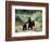 Grizzly Bear Cubs in Katmai National Park, Alaskan Peninsula, USA-Steve Kazlowski-Framed Photographic Print