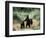 Grizzly Bear Cubs in Katmai National Park, Alaskan Peninsula, USA-Steve Kazlowski-Framed Photographic Print