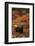 Grizzly Bear, Denali National Park and Preserve, Alaska, USA-Hugh Rose-Framed Photographic Print