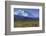 Grizzly Bear Feeding on Tundra Below Mt. Mckinley-Paul Souders-Framed Photographic Print