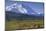 Grizzly Bear Feeding on Tundra Below Mt. Mckinley-Paul Souders-Mounted Photographic Print