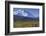 Grizzly Bear Feeding on Tundra Below Mt. Mckinley-Paul Souders-Framed Photographic Print