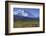 Grizzly Bear Feeding on Tundra Below Mt. Mckinley-Paul Souders-Framed Photographic Print