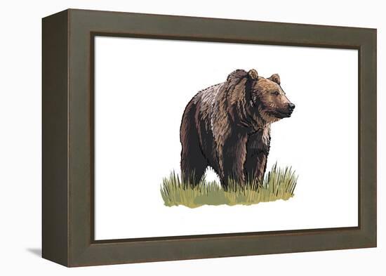 Grizzly Bear - Icon-Lantern Press-Framed Stretched Canvas