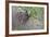 Grizzly Bear in Autumn-Ken Archer-Framed Photographic Print