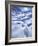 Grizzly Bear in the First Snow of Autumn, Brooks Range, Alaska, USA-Hugh Rose-Framed Photographic Print