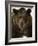 Grizzly Bear in winter, Ursus Arctos, Montana-Adam Jones-Framed Photographic Print