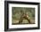 Grizzly Bear, Katmai National Park, Alaska-Paul Souders-Framed Photographic Print