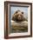 Grizzly Bear Leaning on Log at Hallo Bay-Paul Souders-Framed Photographic Print