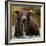 Grizzly Bear male, Coastal Katmai National Park, Alaska, USA-Mary McDonald-Framed Photographic Print