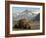 Grizzly Bear Resting on Tidal Flats Along Kukak Bay, Katmai National Park, Alaska, Usa-Paul Souders-Framed Photographic Print