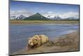 Photographic Print