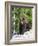 Grizzly Bear Scratching on Ice at the Top of Grouse Mountain, Vancouver, British Columbia, Canada, -Martin Child-Framed Photographic Print