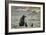 Grizzly Bear sow and two cubs of the year or spring cubs, Yellowstone Nat'l Park, Wyoming, USA-James Hager-Framed Photographic Print