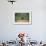 Grizzly Bear Standing over Tall Grass at Kukak Bay-Paul Souders-Framed Photographic Print displayed on a wall