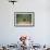 Grizzly Bear Standing over Tall Grass at Kukak Bay-Paul Souders-Framed Photographic Print displayed on a wall